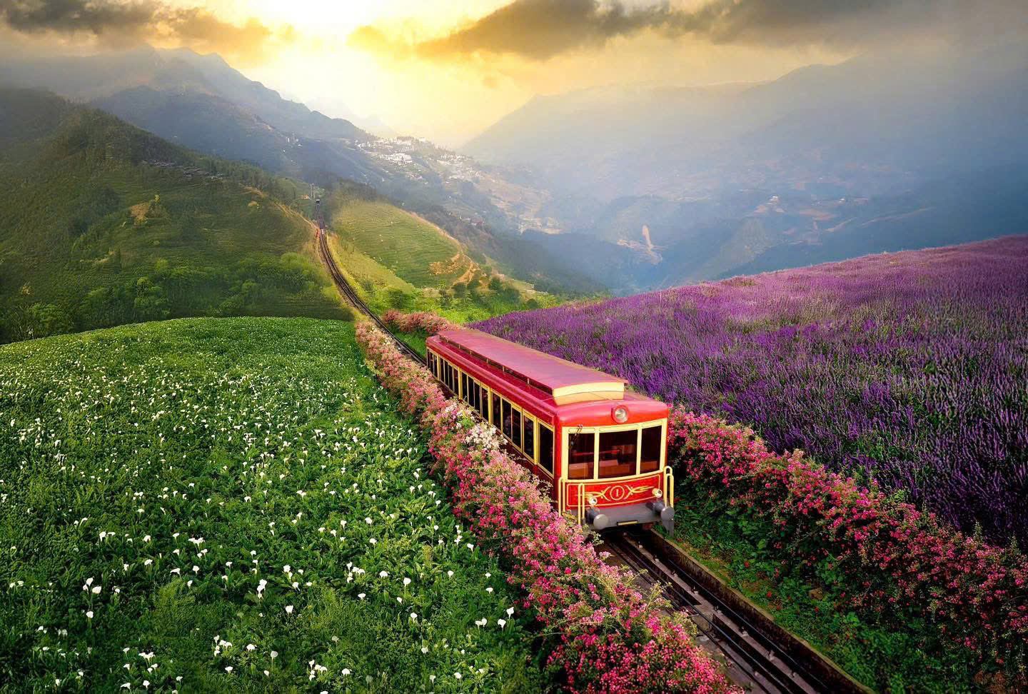 Mountain railway and flowers on the journey toward Fansipan