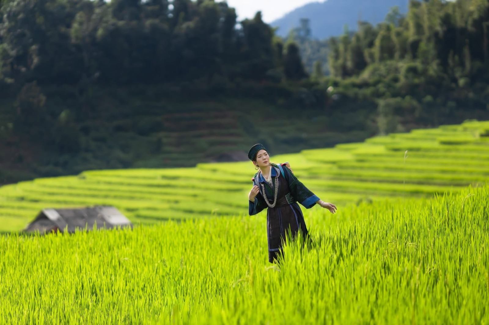 A local guide standing among bright green rice plants