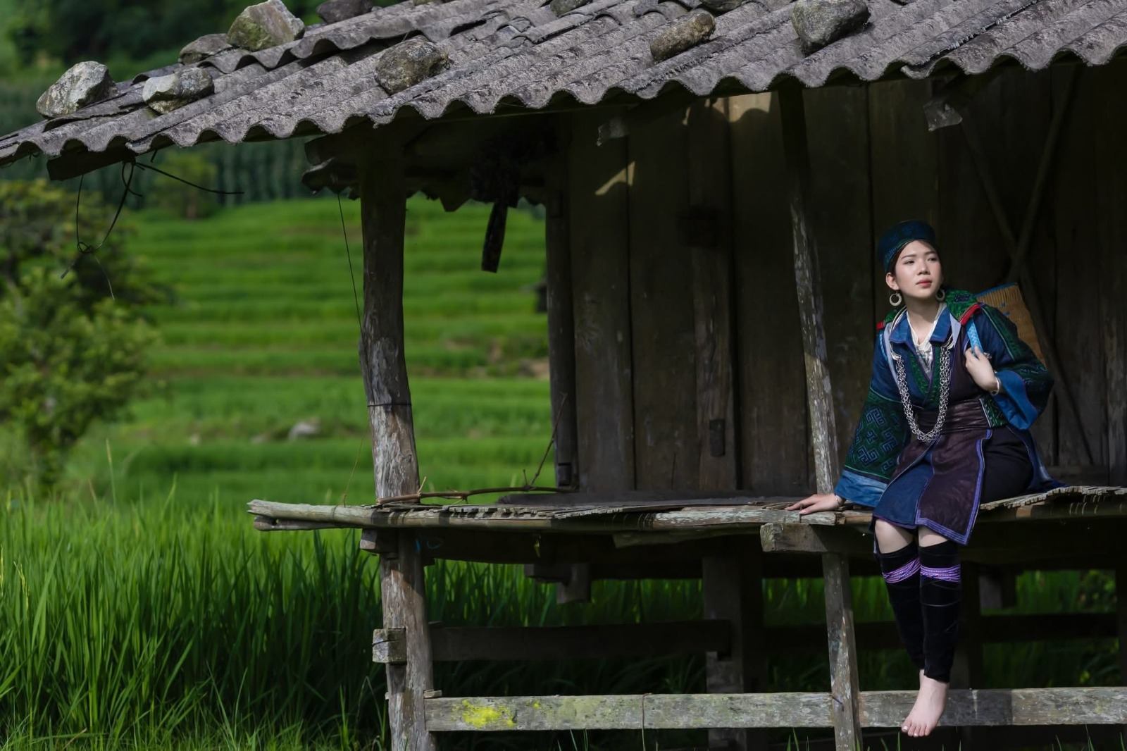 A local woman standing beside a wooden field shelter and rice paddies