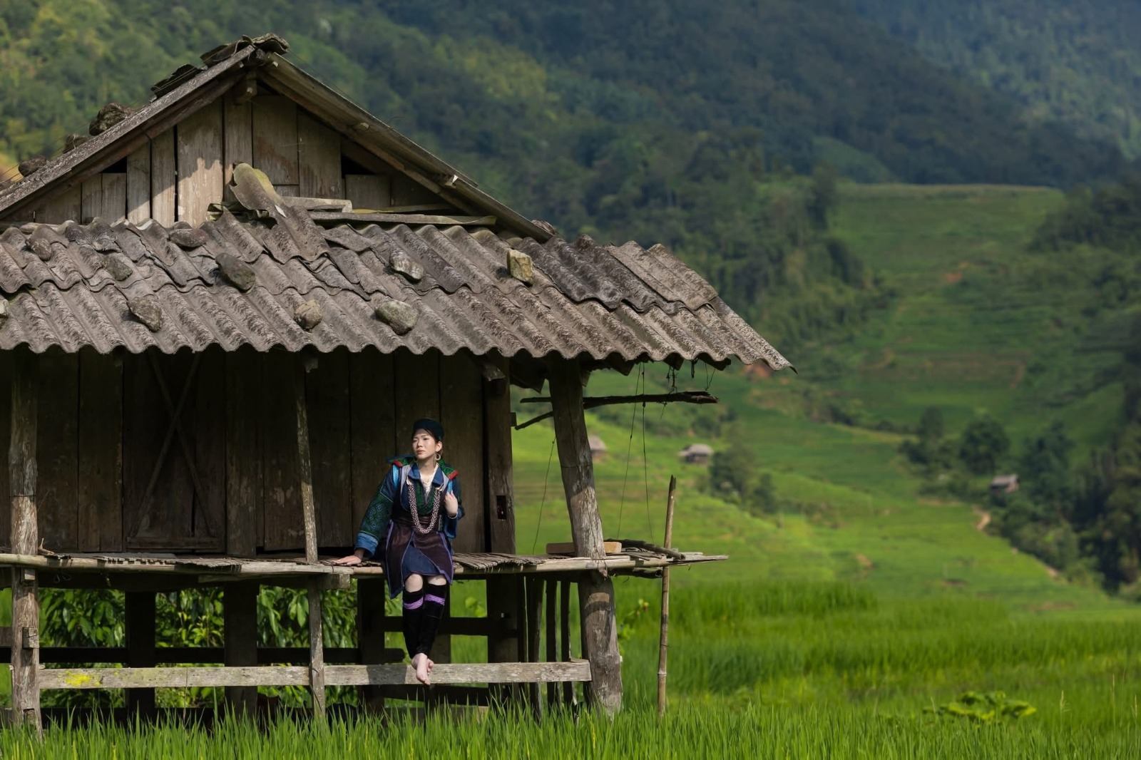 A local woman beside a traditional wooden home in green rice fields