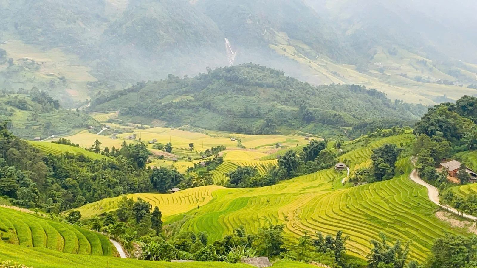 Layered rice terraces and villages across a broad green valley