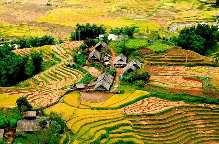 Hiker looking across layered rice terraces near Sa Pa